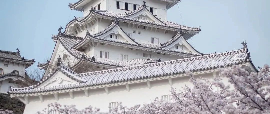 # 以色列与伊朗冲突升级：地缘政治与油价波动下的残酷现实