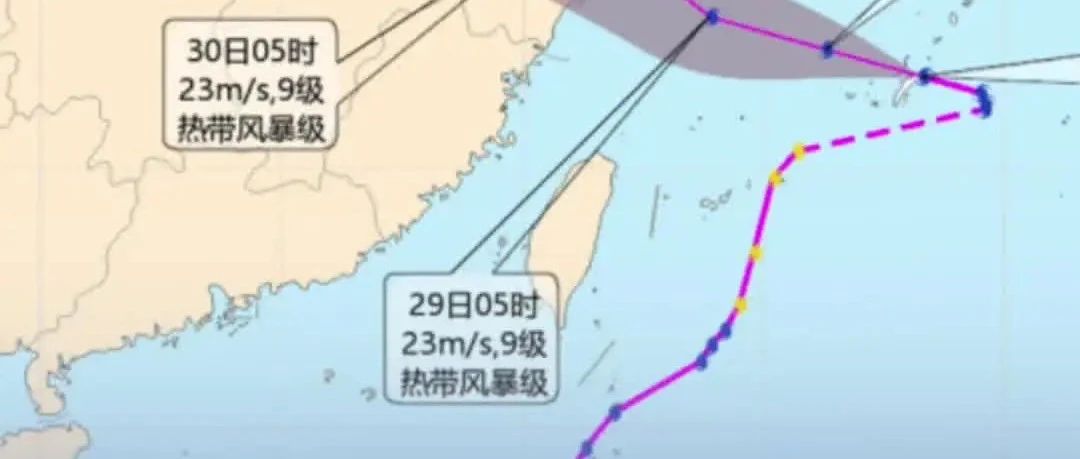 8号台风“竹节草”来袭，多地严阵以待！