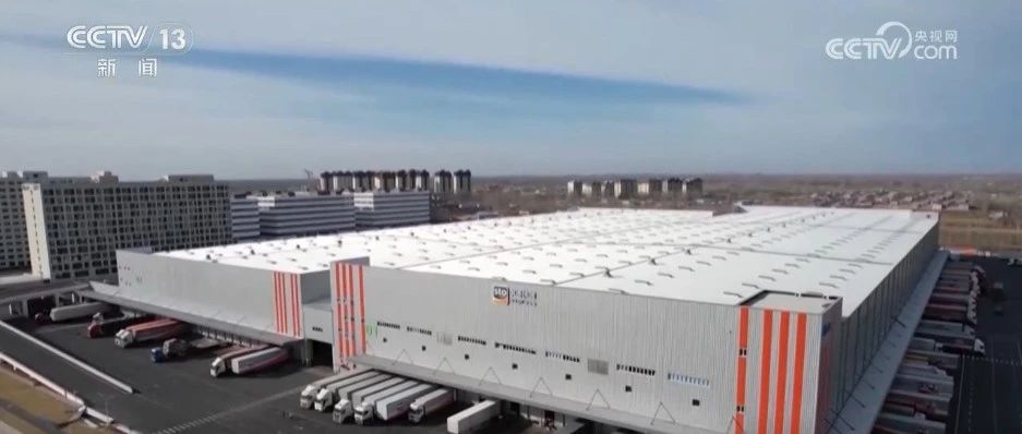 上半年中国食品冷链物流：规模增长背后的机遇与思考