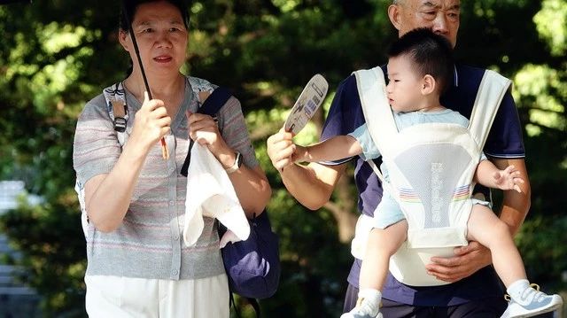 家人们，重大利好消息！财政部、税务总局发布公告，对按照育儿补贴制度规定发放的育儿补贴免征个人所得税。